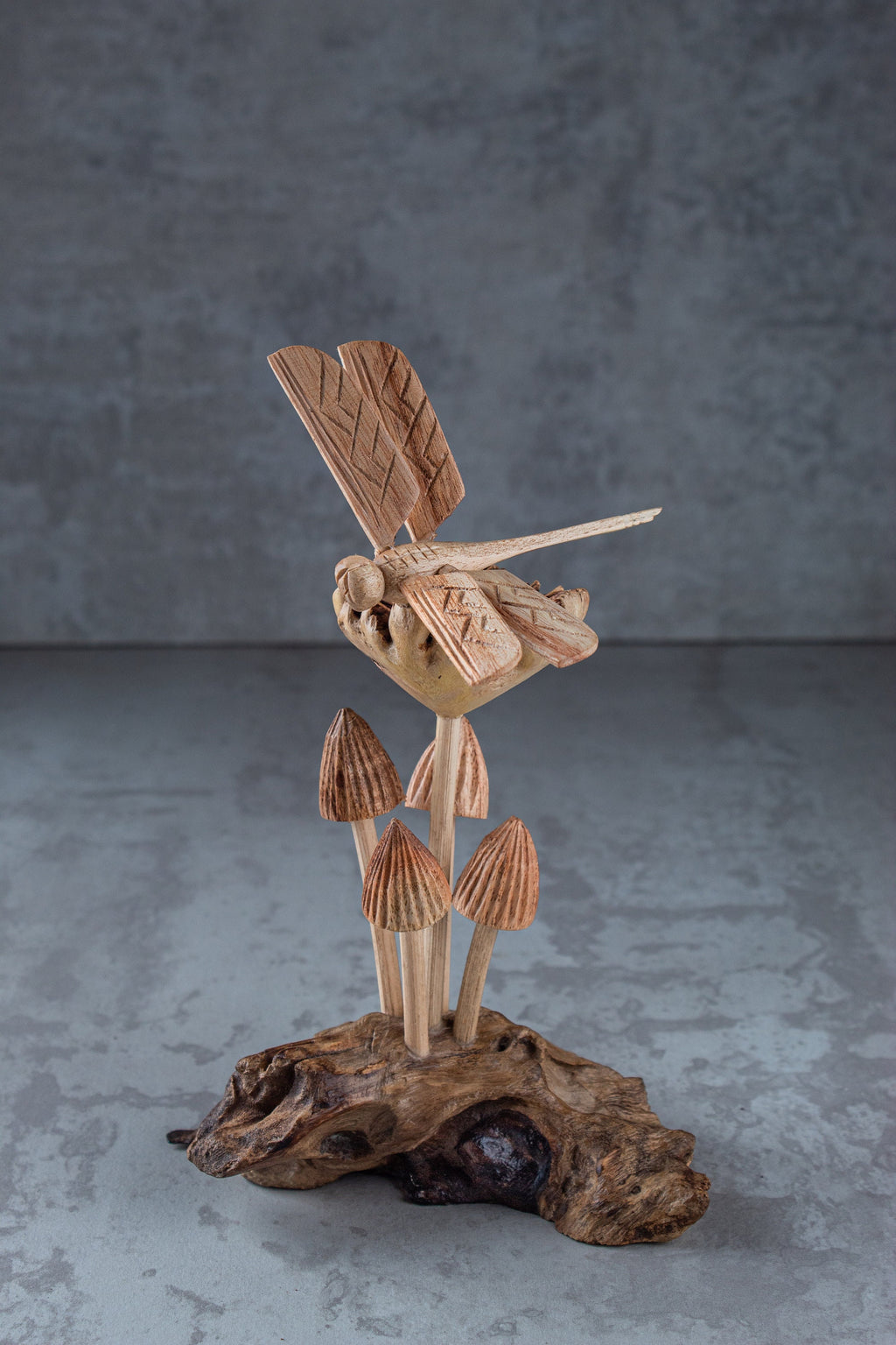 Dragonfly & Mushroom