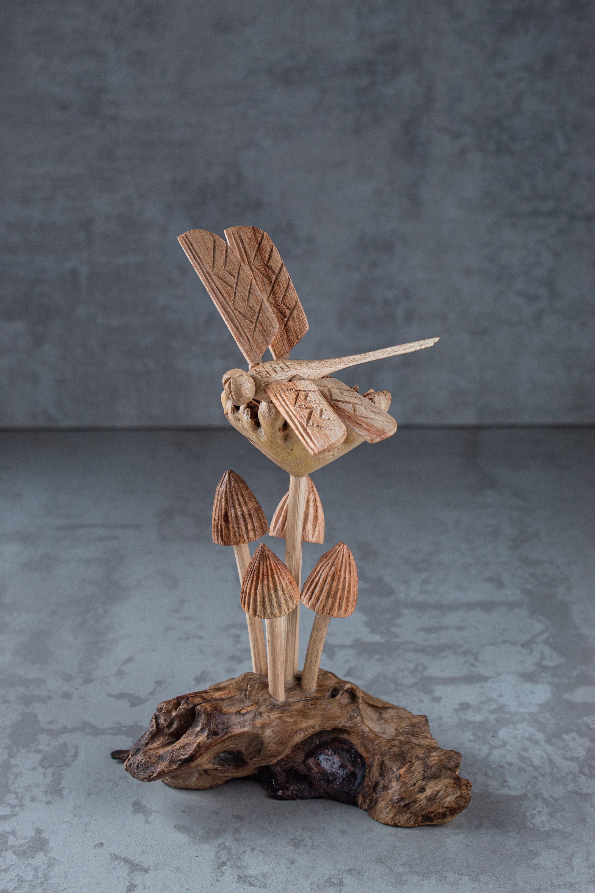 Dragonfly & Mushroom