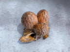 Morel Mushroom Sculpture