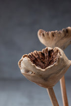 Rustic hand-carved wood sculpture, flower mushroom design, perfect for shelf styling or office decor