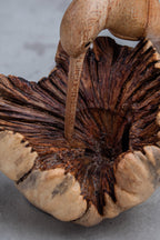 Hand-Carved Wooden Hummingbird Building Nest Sculpture (4")