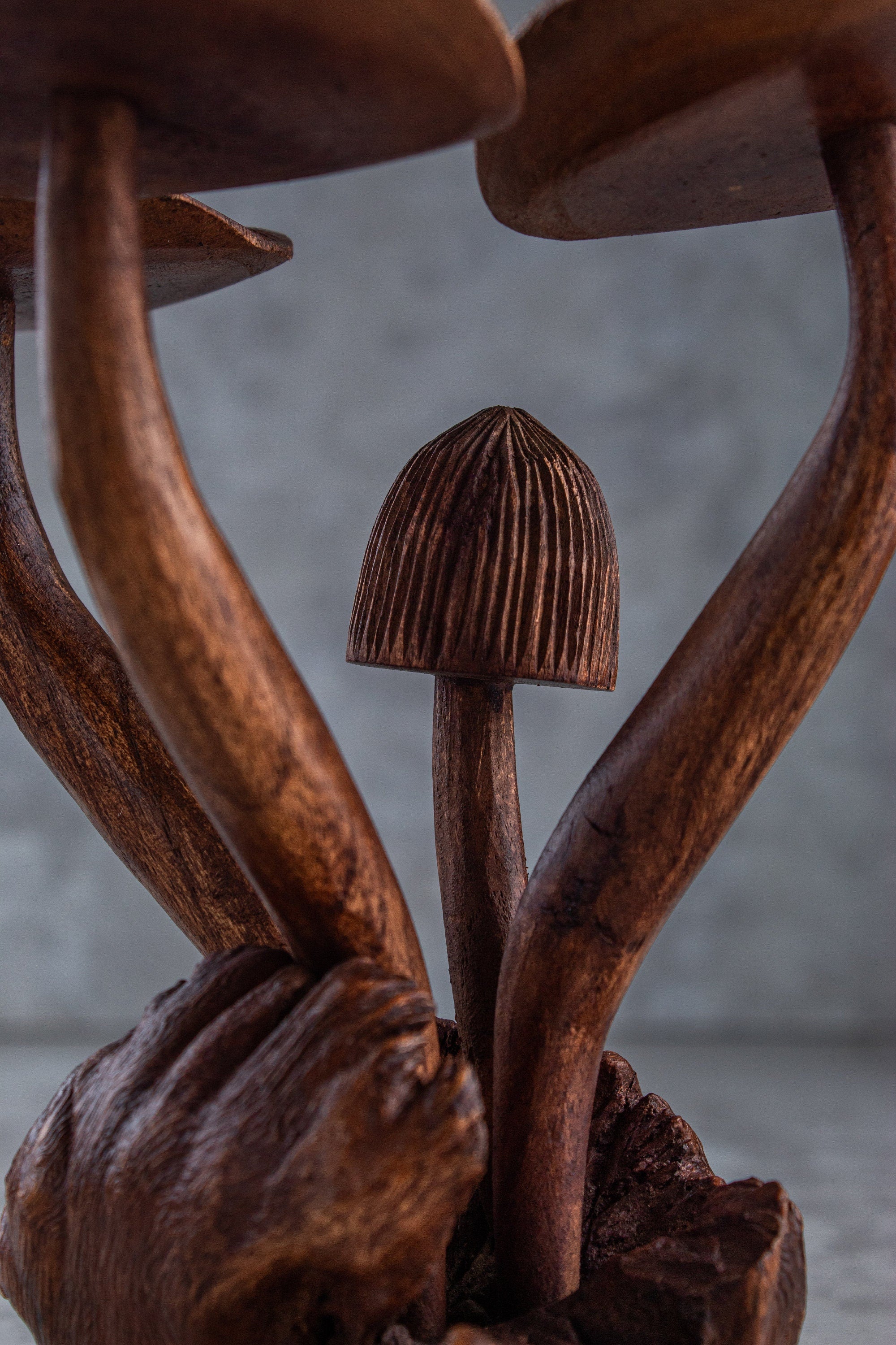 Mushroom Sculpture: Dark Wood Stain, Home Decor (9 inch)