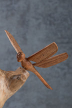 Dragonfly 8"