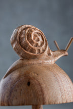 Snail on Mushroom