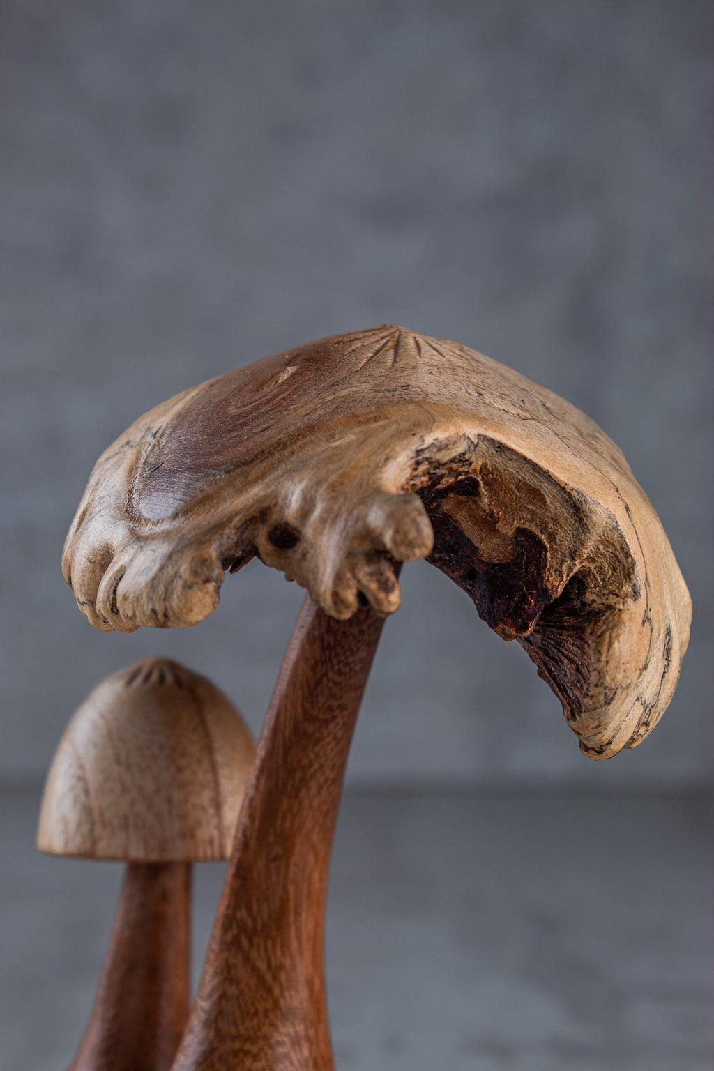 Mushroom Rustic (6")