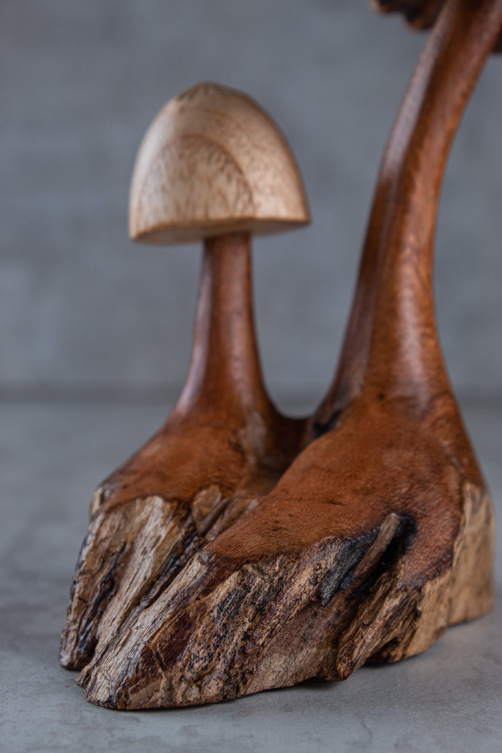 Mushroom Rustic (6")
