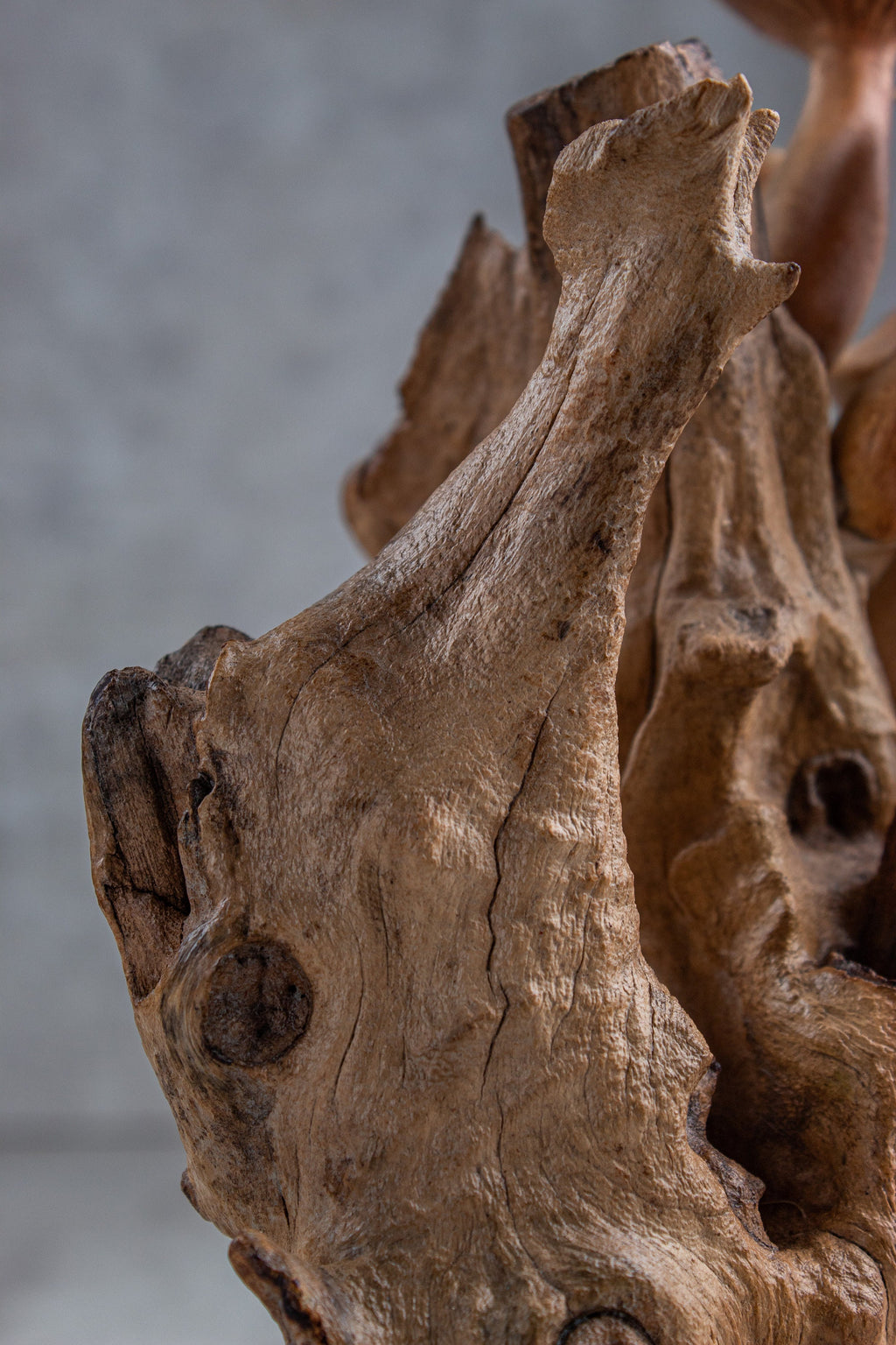 Wood Carving Mushroom