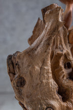 Wood Carving Mushroom
