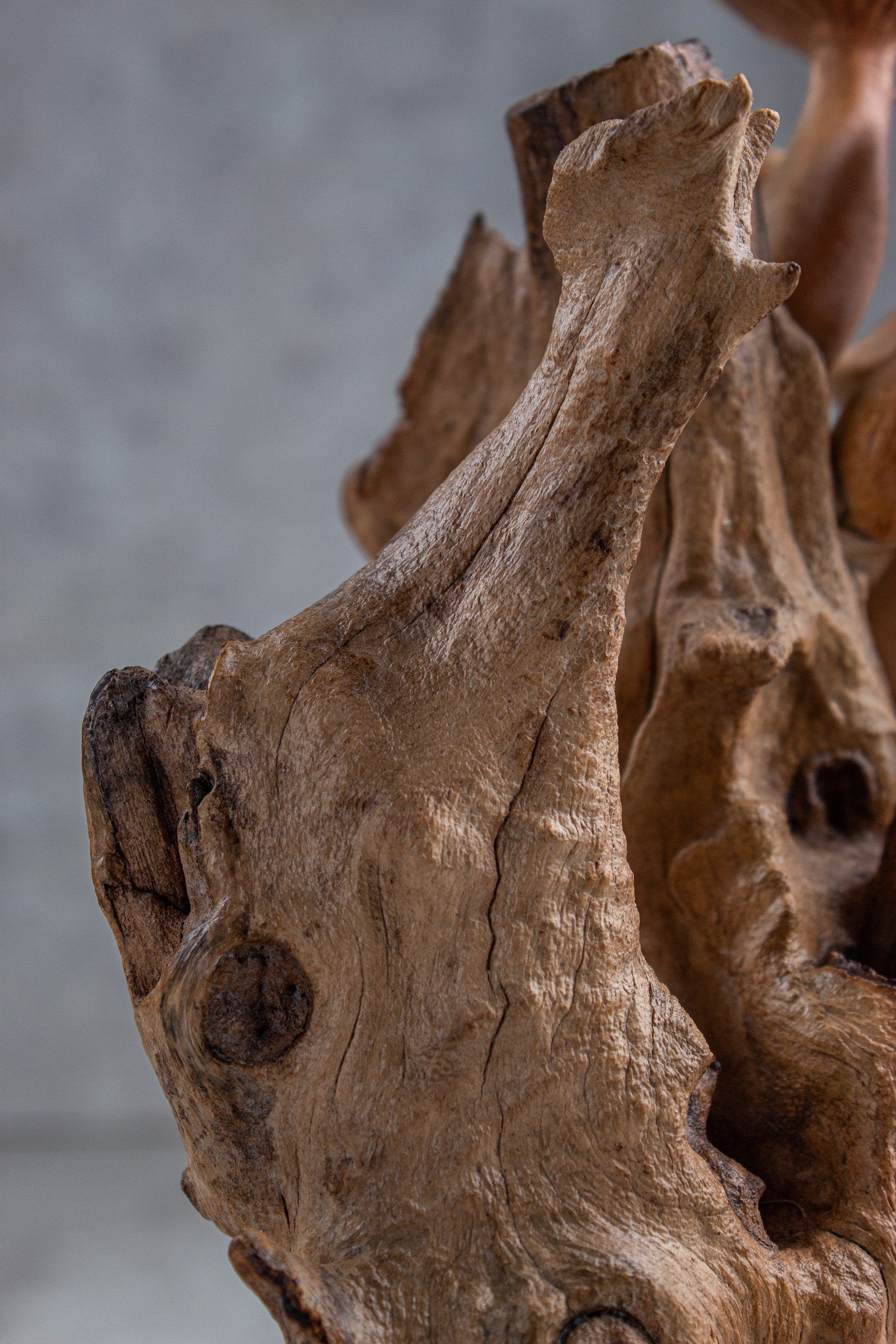 Wood Carving Mushroom