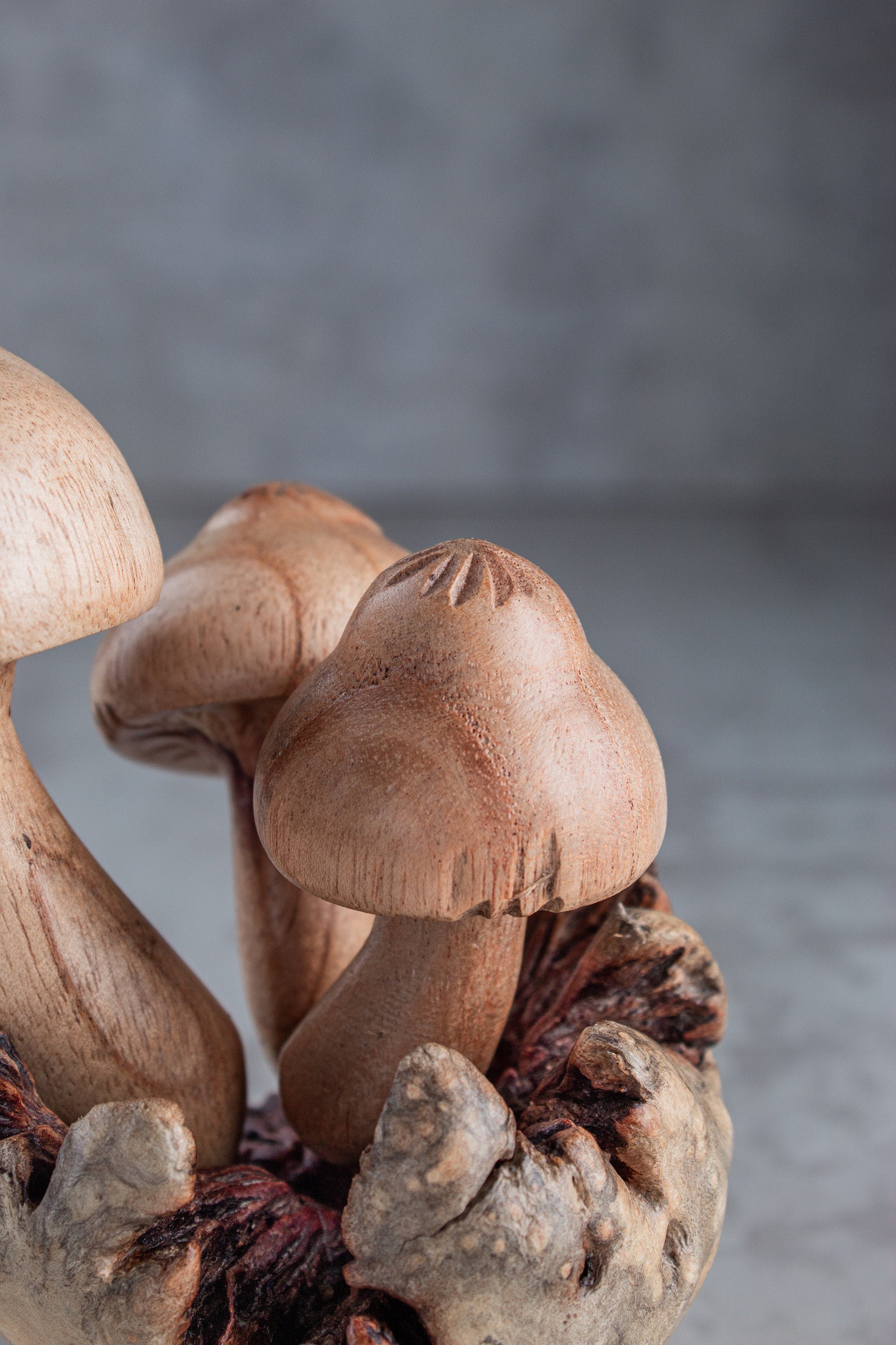 Mushroom Wooden Sculpture 3"