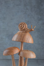 Snail on Mushroom