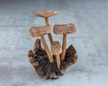 Jempinis Wood Mushroom 4.5"