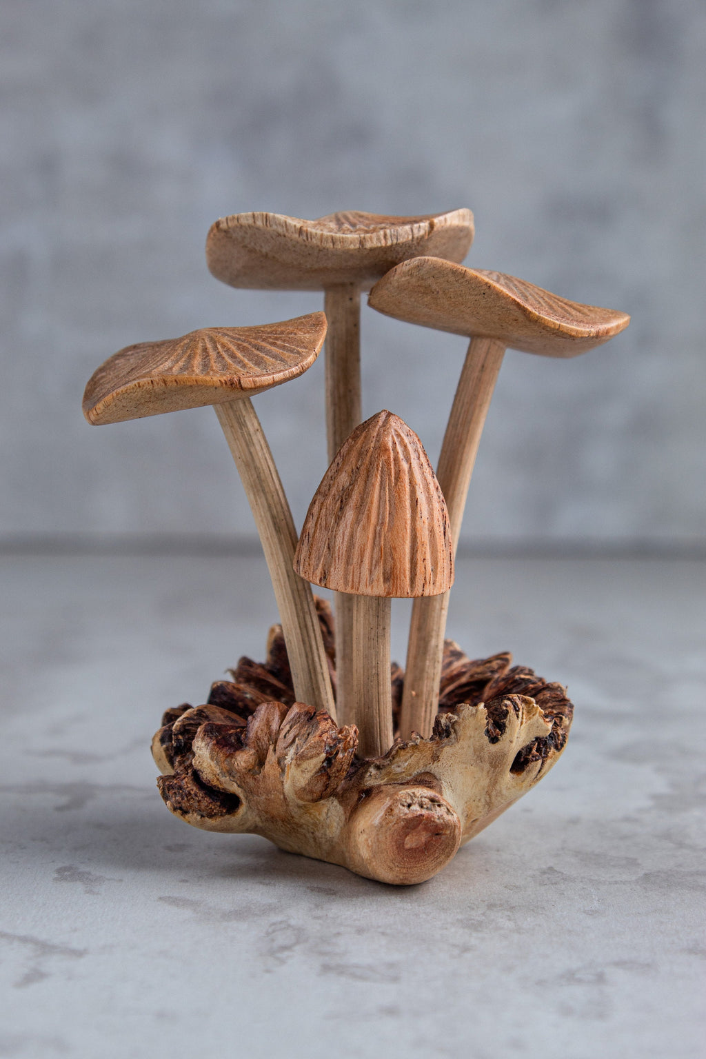Wooden Mushroom On Base