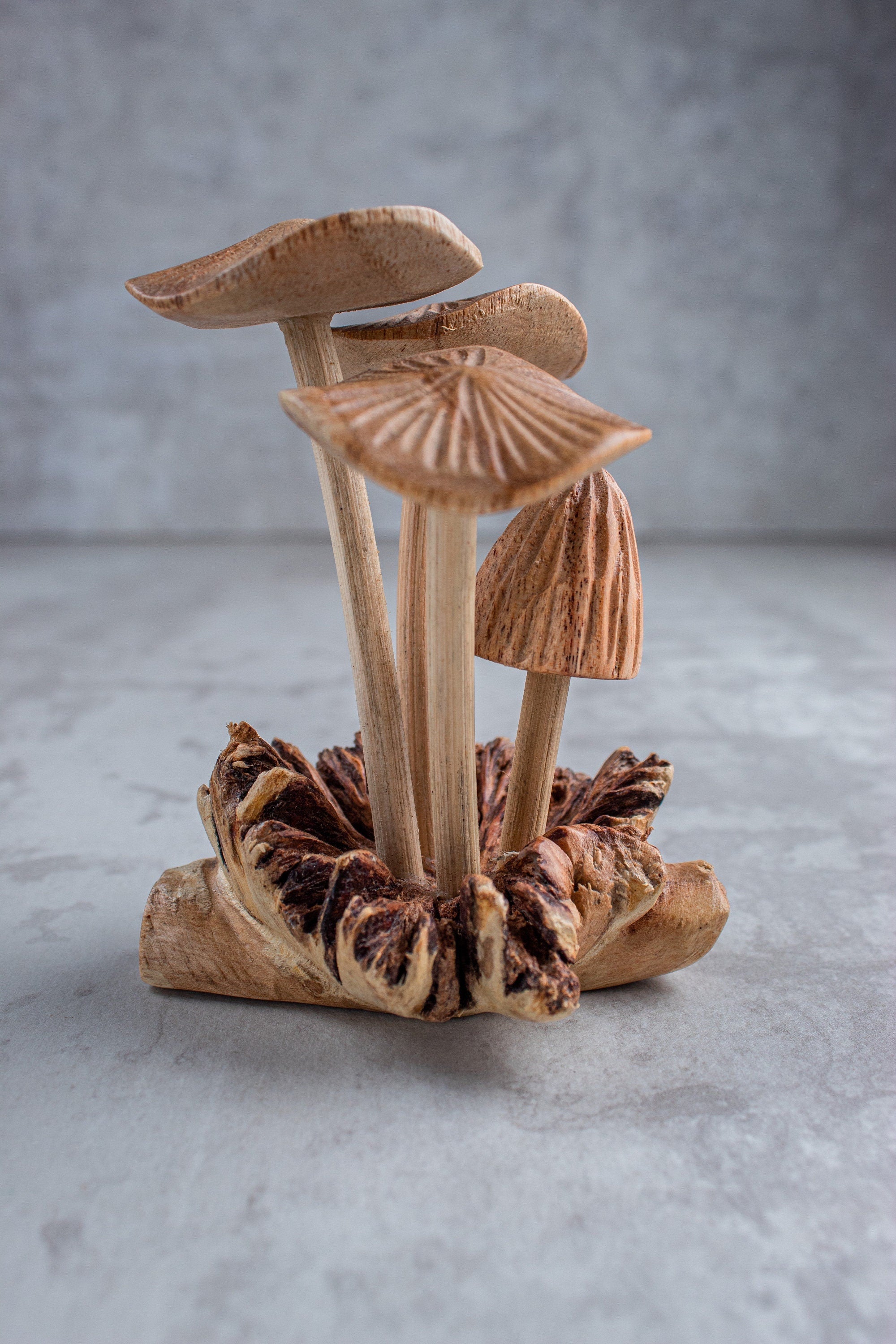 Wooden Mushroom On Base