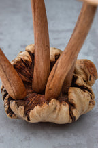 Wooden Dragonfly On Mushroom Sculpture (7")