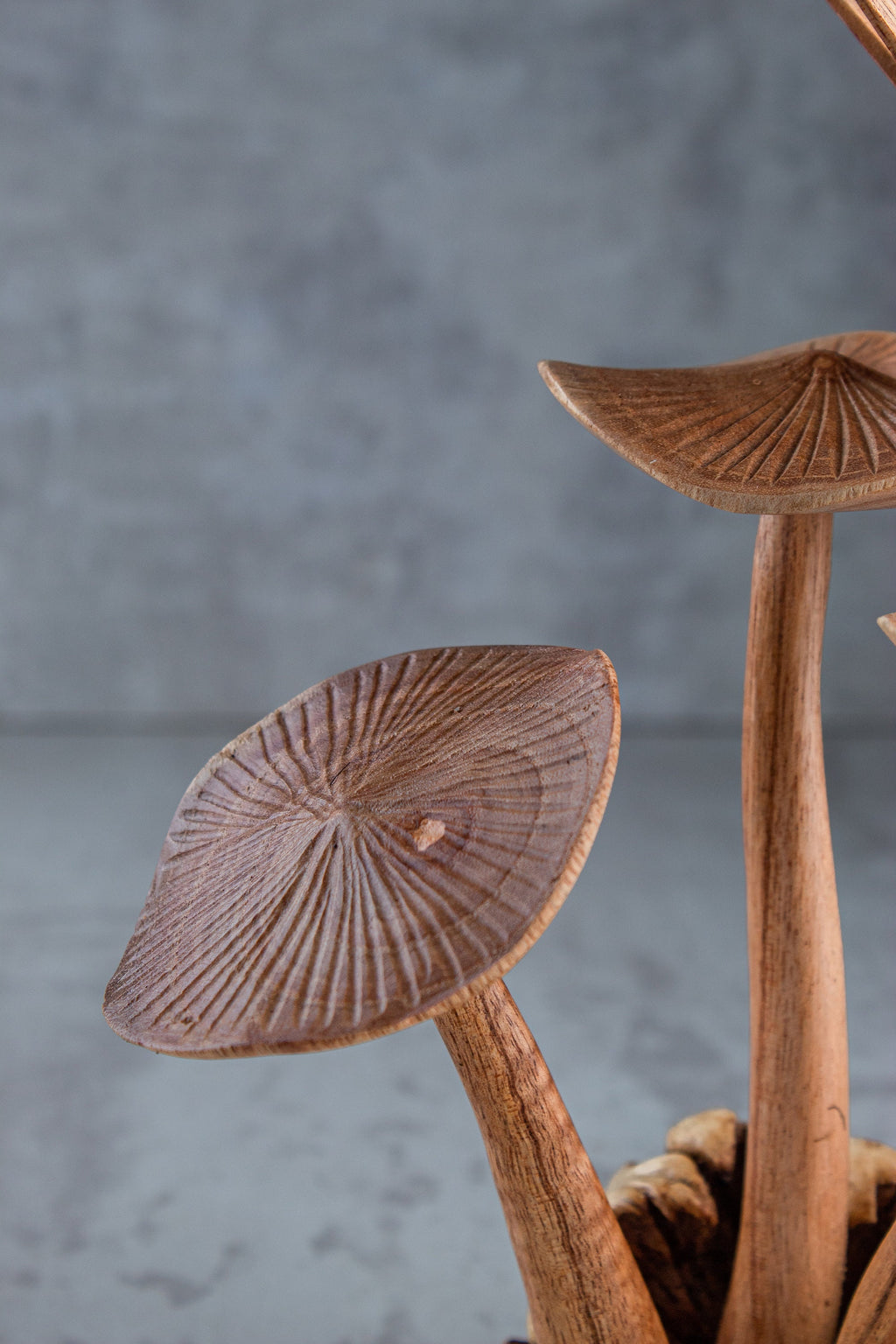 Wooden Dragonfly On Mushroom Sculpture (7")