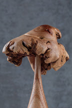 Mushroom (5")