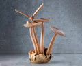 Wooden Dragonfly On Mushroom Sculpture (7")
