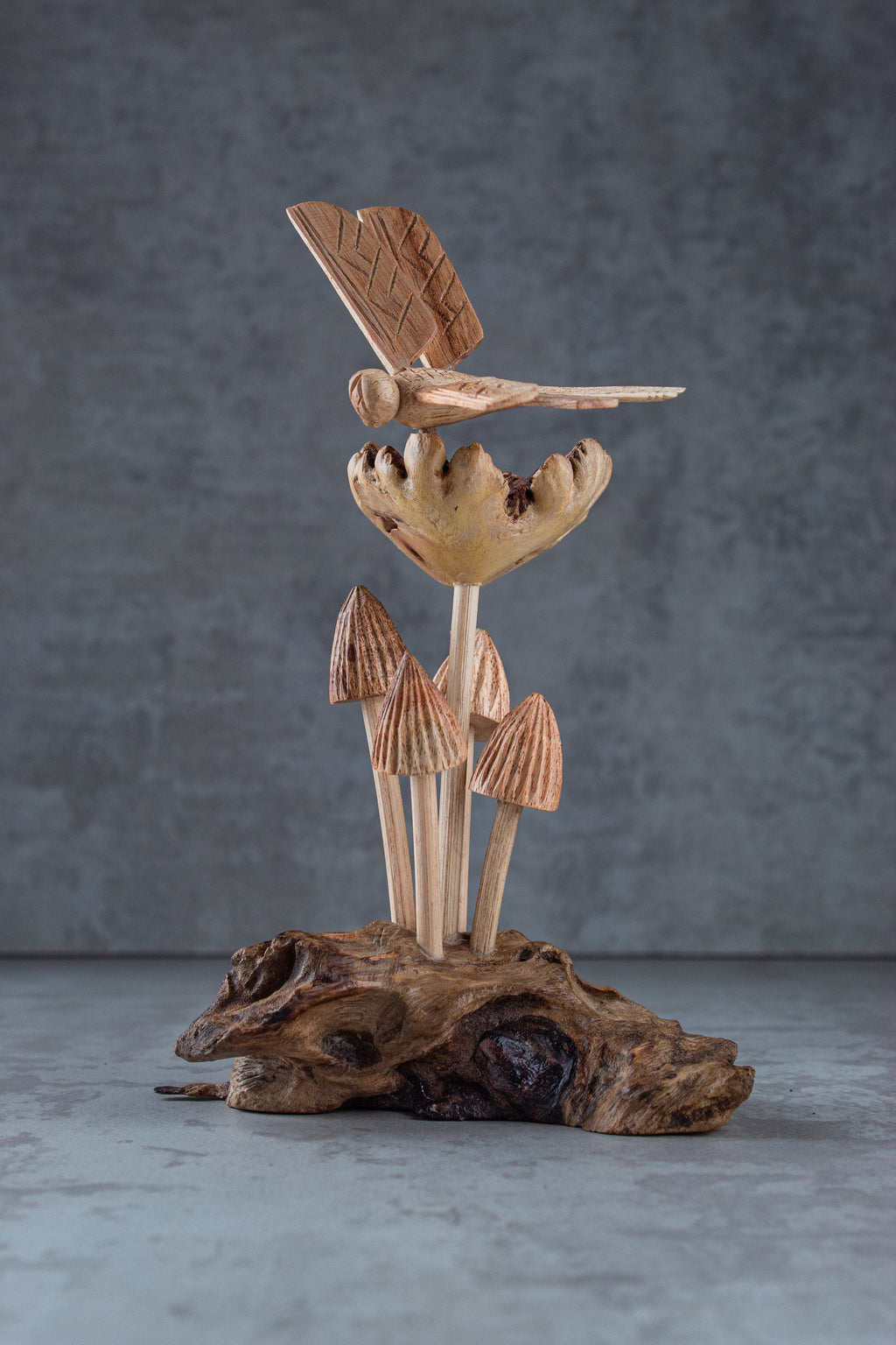 Dragonfly & Mushroom