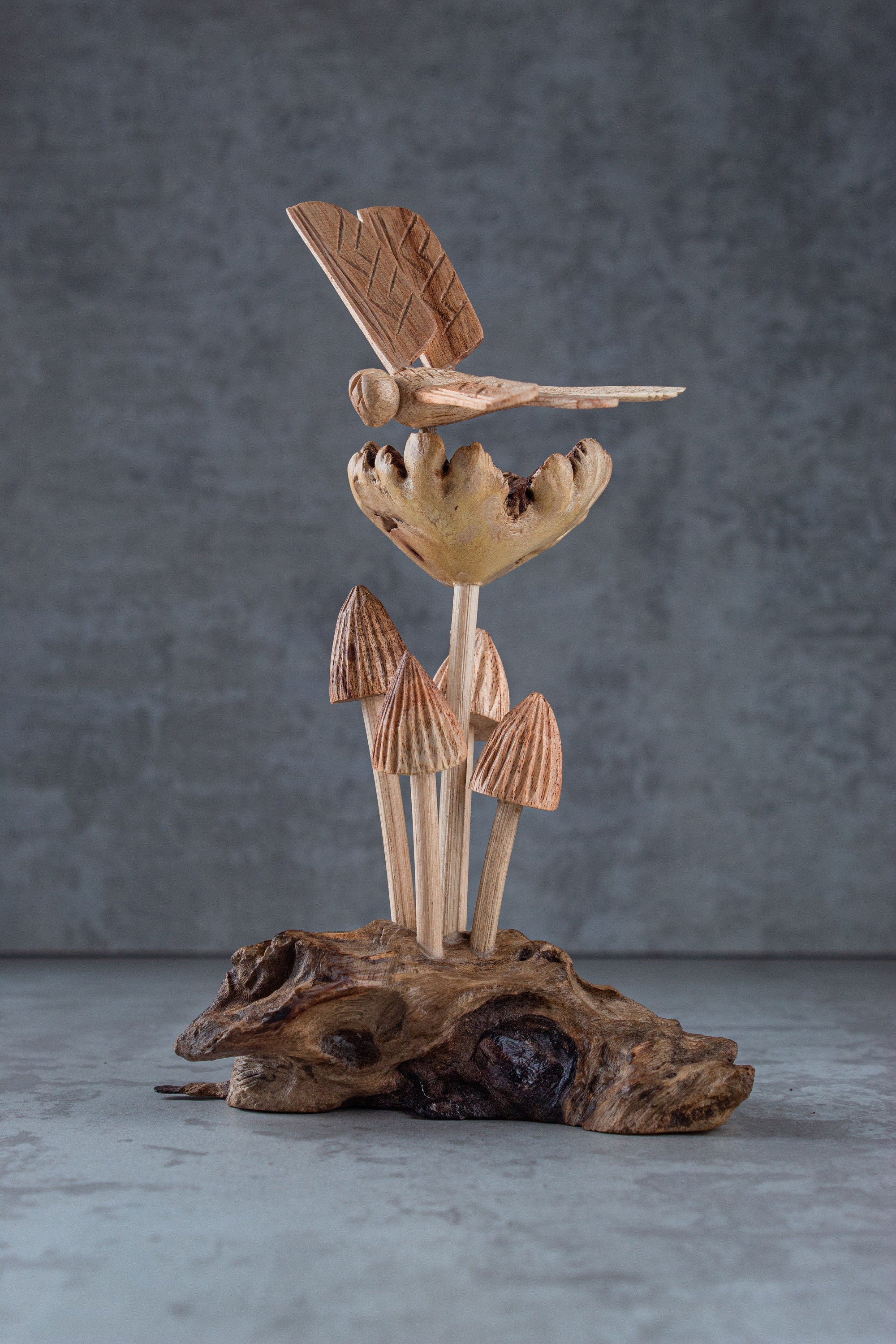 Dragonfly & Mushroom