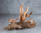 Turtle Sculpture
