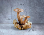 Chanterelle Mushroom Sculpture: Parasite Wood Fungi, Home Decor Wooden art