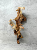 Hand-carved wooden mushroom wall sculpture