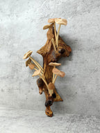 Hand-carved wooden mushroom wall sculpture