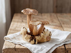Chanterelle Mushroom Sculpture: Parasite Wood Fungi, Home Decor Wooden art