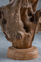 Wood Carving Mushroom